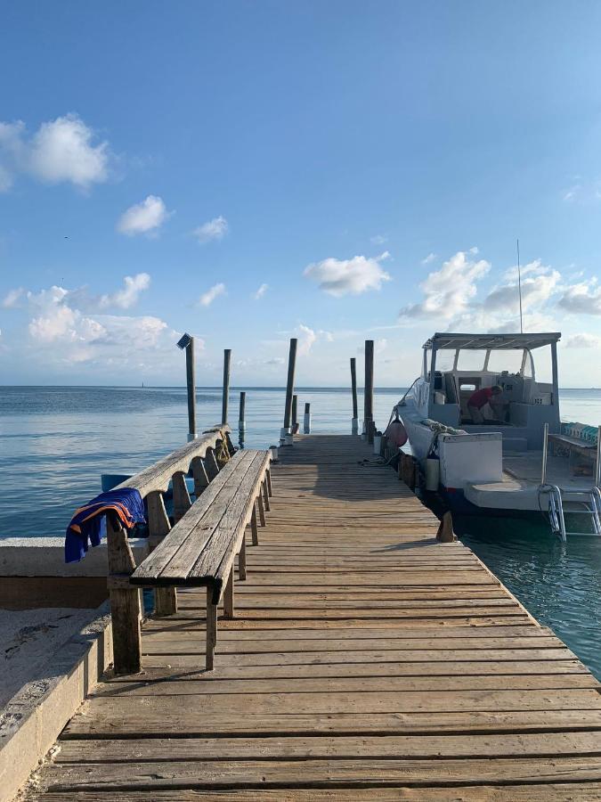 אוטילה Paradise Divers Hotel מראה חיצוני תמונה